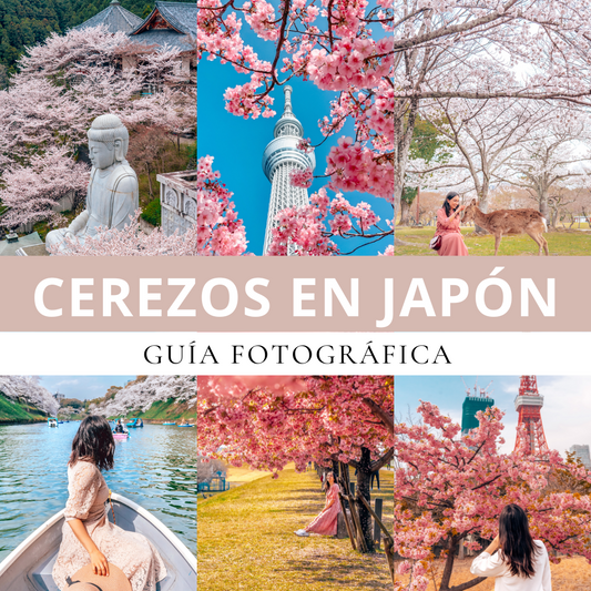 Guía Fotográfica de Cerezos en Japón