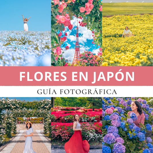 Guía fotográfica de Flores en Japón